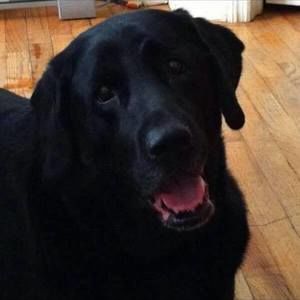 Meet your Posher, Olga